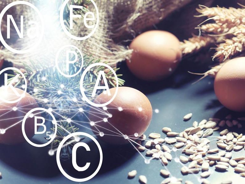 Kluczowe funkcje produktów Kraftmann i ich praktyczne zastosowanie w automatyzacji i AV