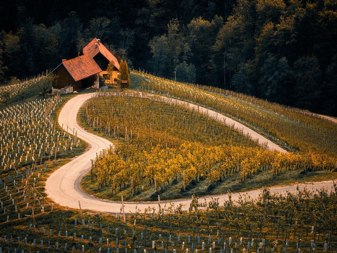 Ile można zarobić na hektarze pod farmę fotowoltaiczną?